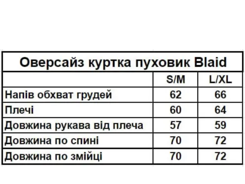 Оверсайз куртка зимова Blaid сіра унісекс пуховик жіночий чоловічий сірий теплий на зиму Код: RD414