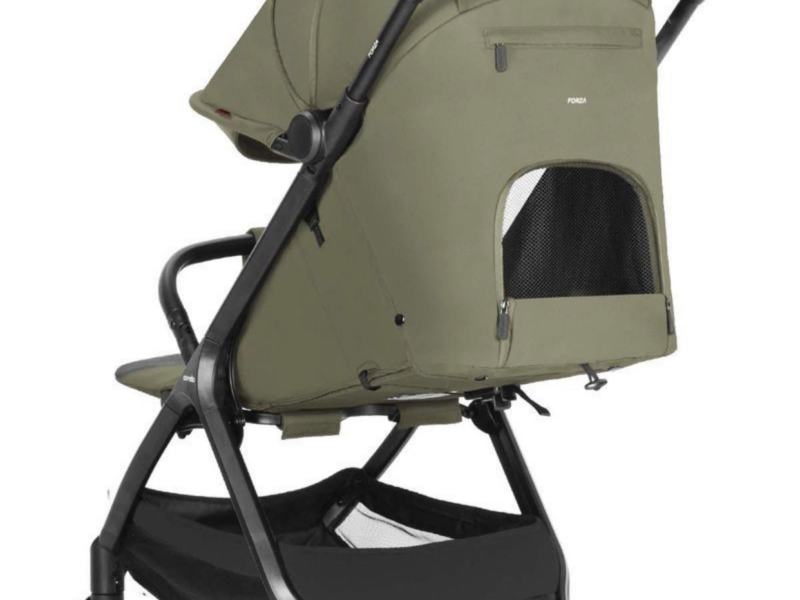 Прогулянкова коляска CARRELLO Forza (Каррелло Форца) CRL-5535 Lagoon Green /1/