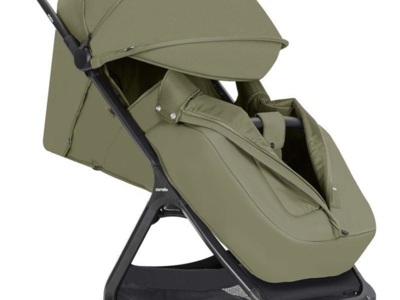 Прогулянкова коляска CARRELLO Forza (Каррелло Форца) CRL-5535 Lagoon Green /1/