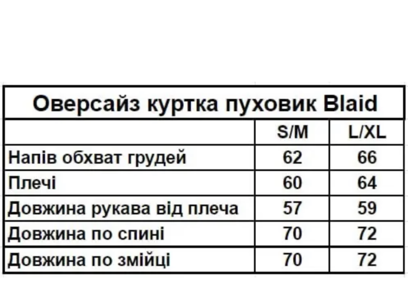 Оверсайз куртка зимова Blaid сіра унісекс пуховик жіночий чоловічий сірий теплий на зиму Код: RD414