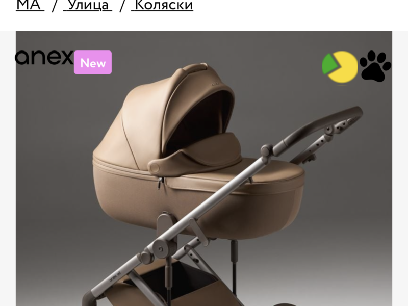 Коляска 2 в 1 Anex Eli