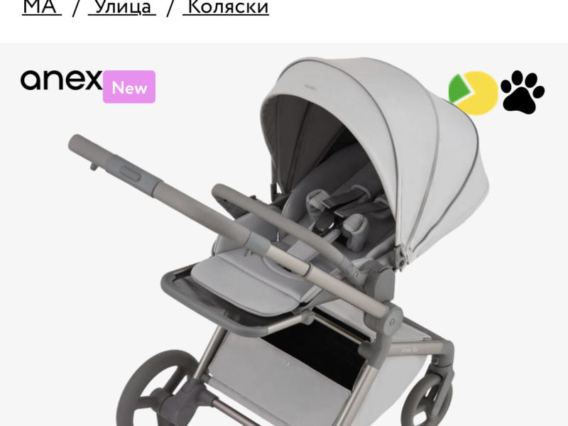 Універсальна коляска 2 в 1 Anex flo Frosy (fl-06с)