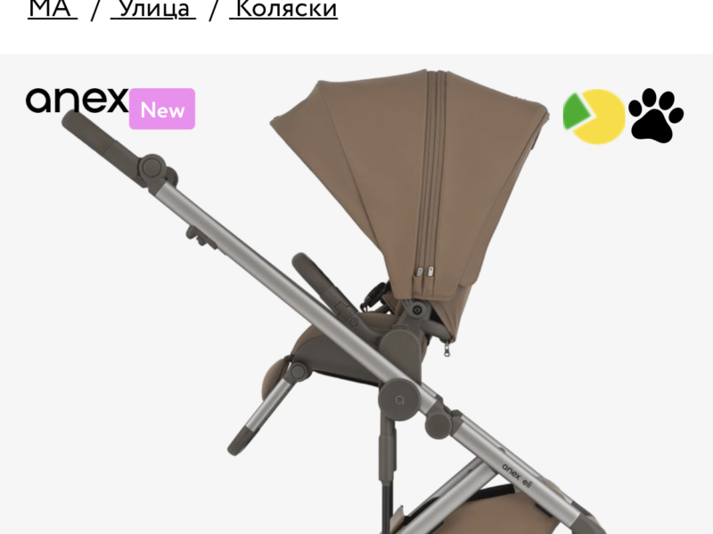 Коляска 2 в 1 Anex Eli