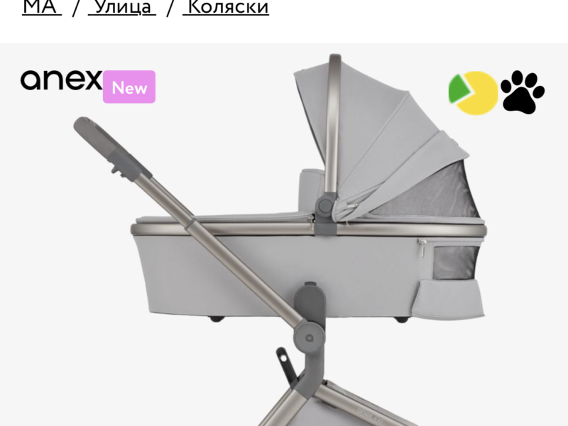 Універсальна коляска 2 в 1 Anex flo Frosy (fl-06с)