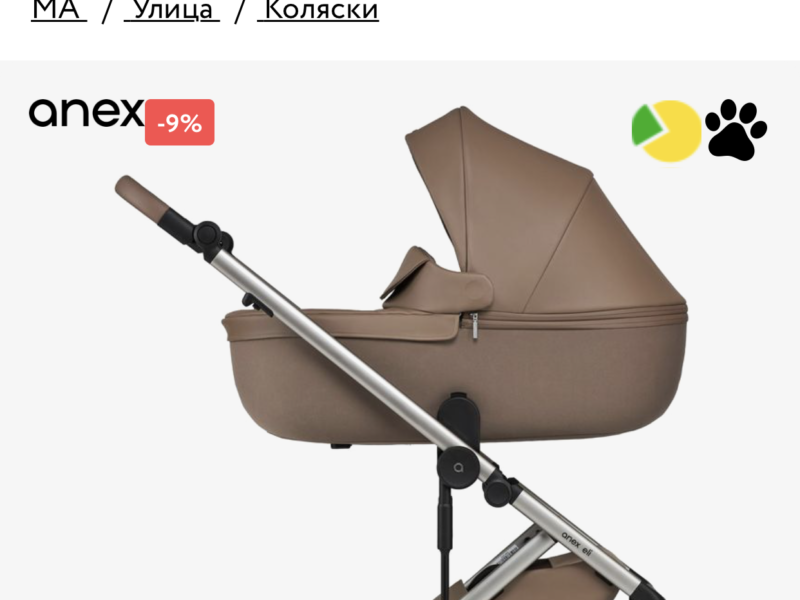 Коляска 2 в 1 Anex Eli