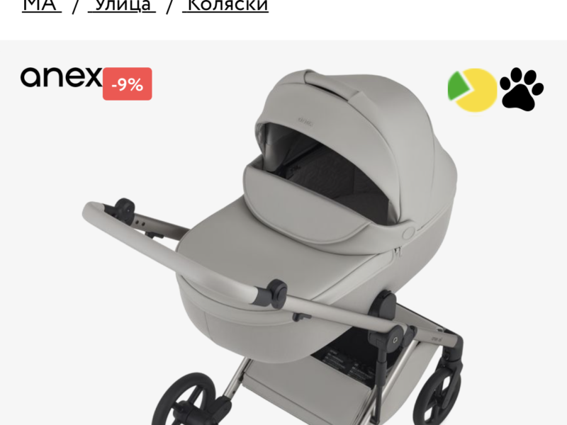 Коляска 2 в 1 Anex Eli