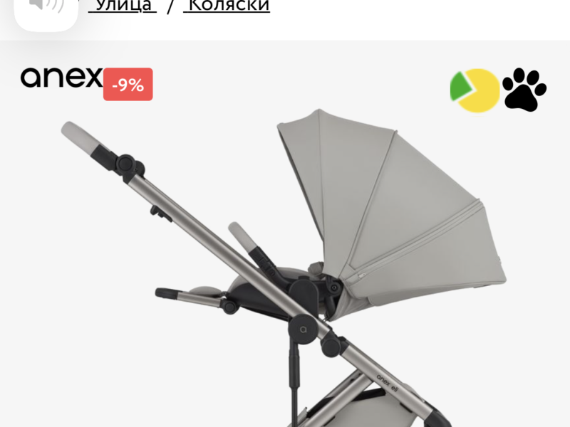 Коляска 2 в 1 Anex Eli