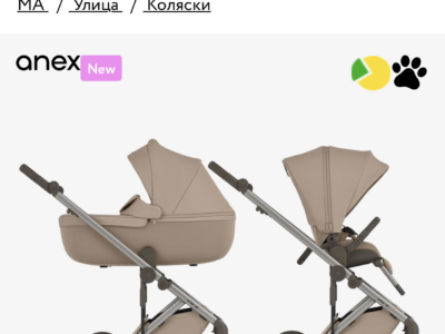 Коляска 2 в 1 Anex Eli