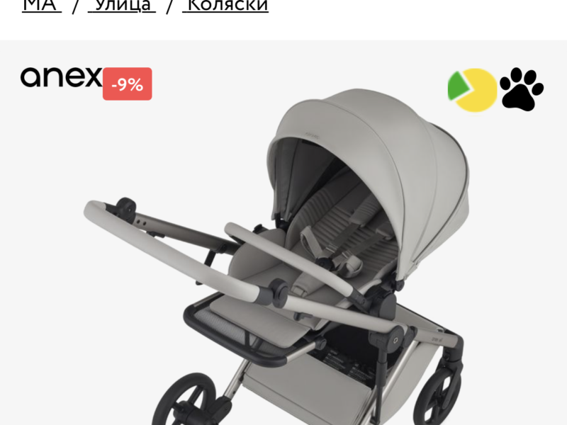 Коляска 2 в 1 Anex Eli