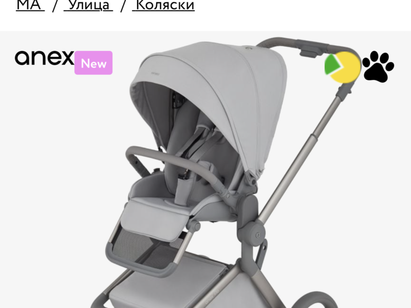 Універсальна коляска 2 в 1 Anex flo Frosy (fl-06с)