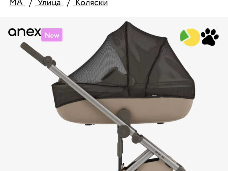 Коляска 2 в 1 Anex Eli