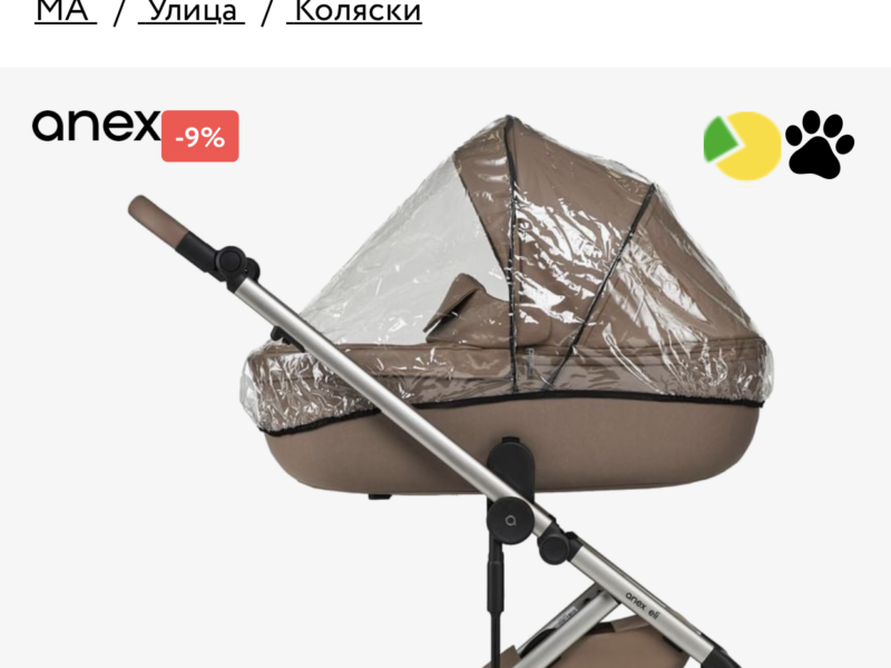 Коляска 2 в 1 Anex Eli