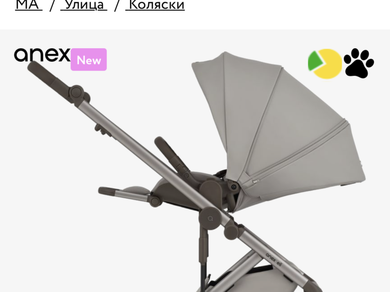 Коляска 2 в 1 Anex Eli