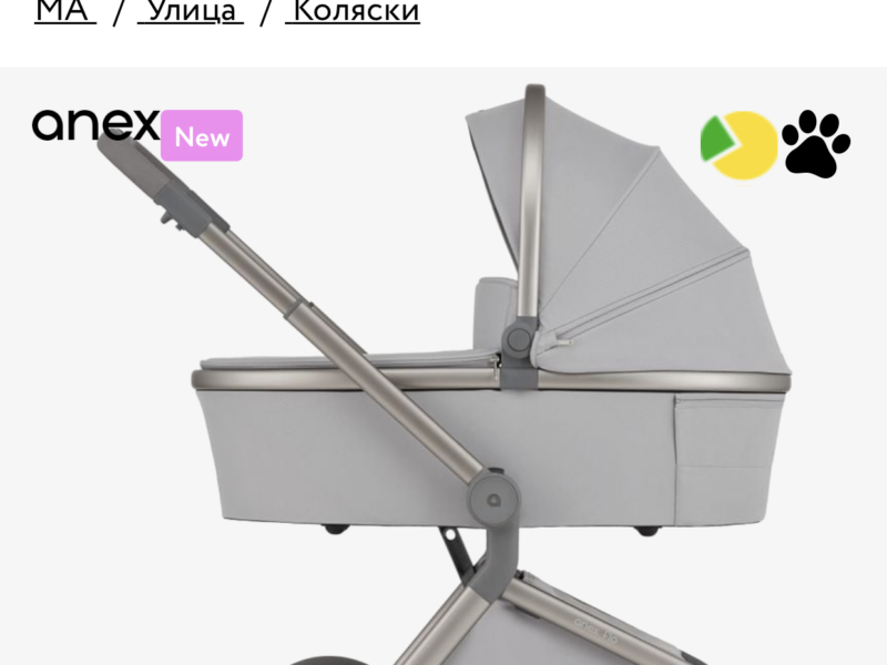 Універсальна коляска 2 в 1 Anex flo Frosy (fl-06с)