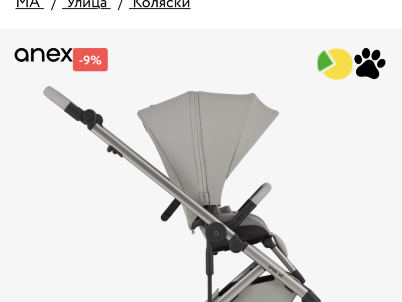 Коляска 2 в 1 Anex Eli