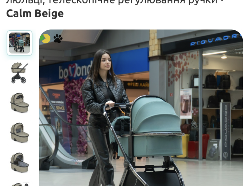 Візок дитячий El Camino Prestige (ME 1124-2 Calm Beige)