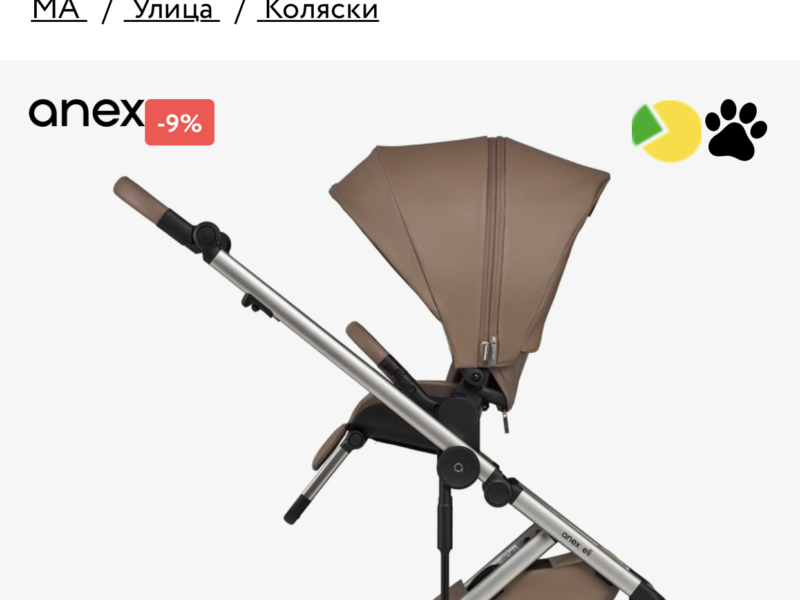 Коляска 2 в 1 Anex Eli