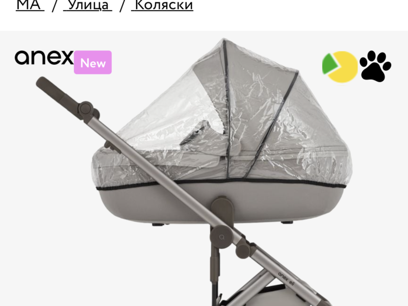 Коляска 2 в 1 Anex Eli