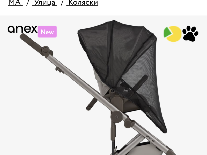 Коляска 2 в 1 Anex Eli