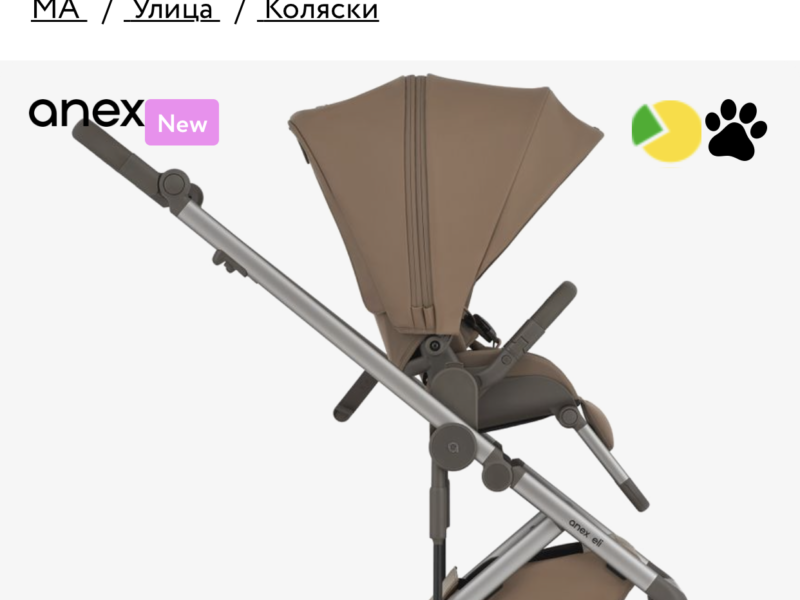 Коляска 2 в 1 Anex Eli