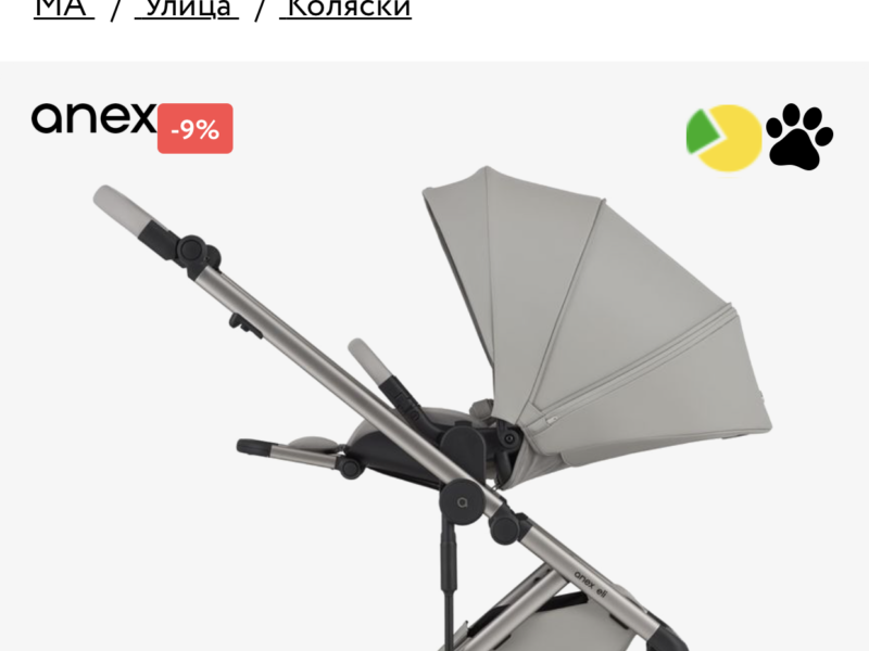 Коляска 2 в 1 Anex Eli