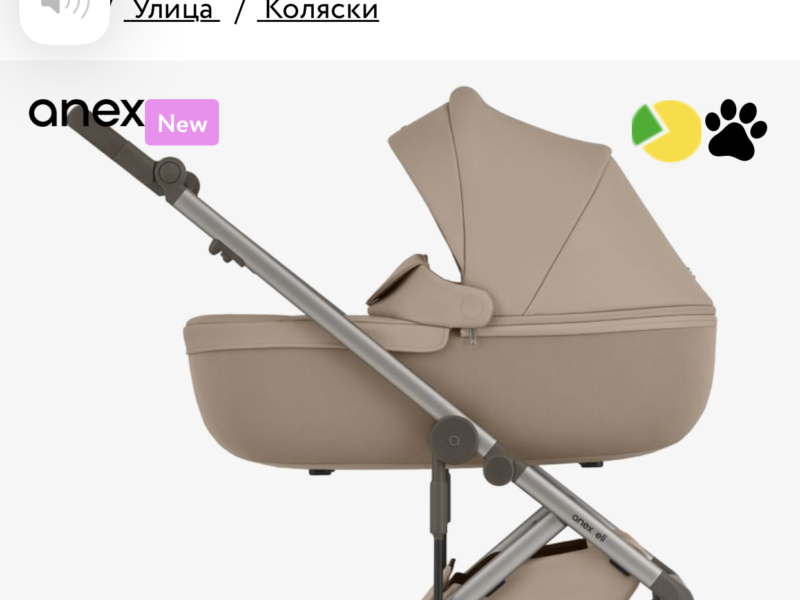 Коляска 2 в 1 Anex Eli