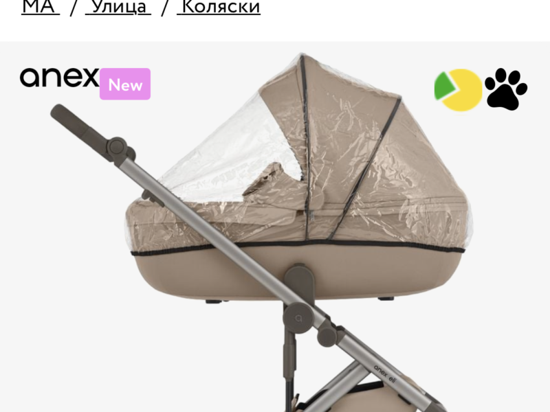 Коляска 2 в 1 Anex Eli