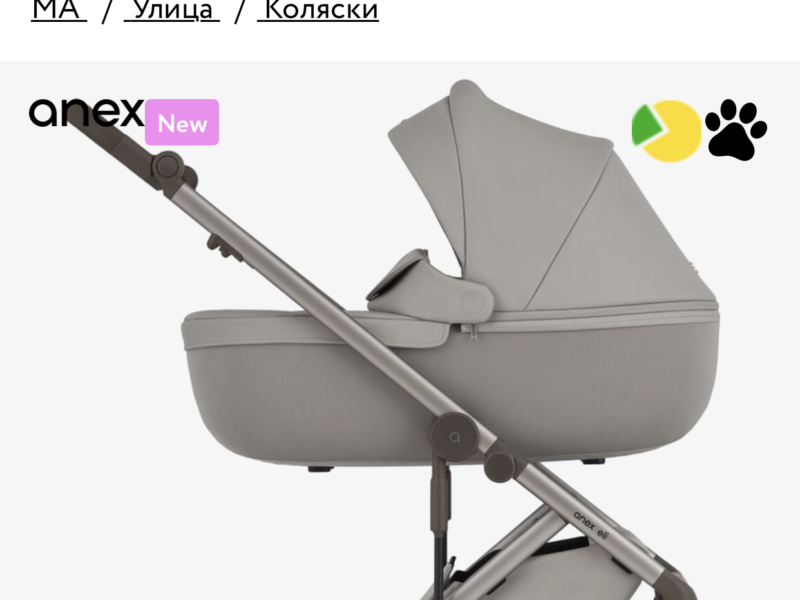 Коляска 2 в 1 Anex Eli