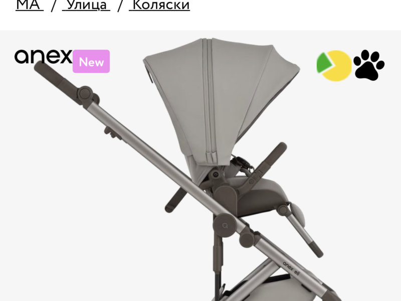 Коляска 2 в 1 Anex Eli