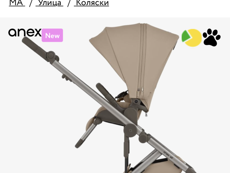 Коляска 2 в 1 Anex Eli