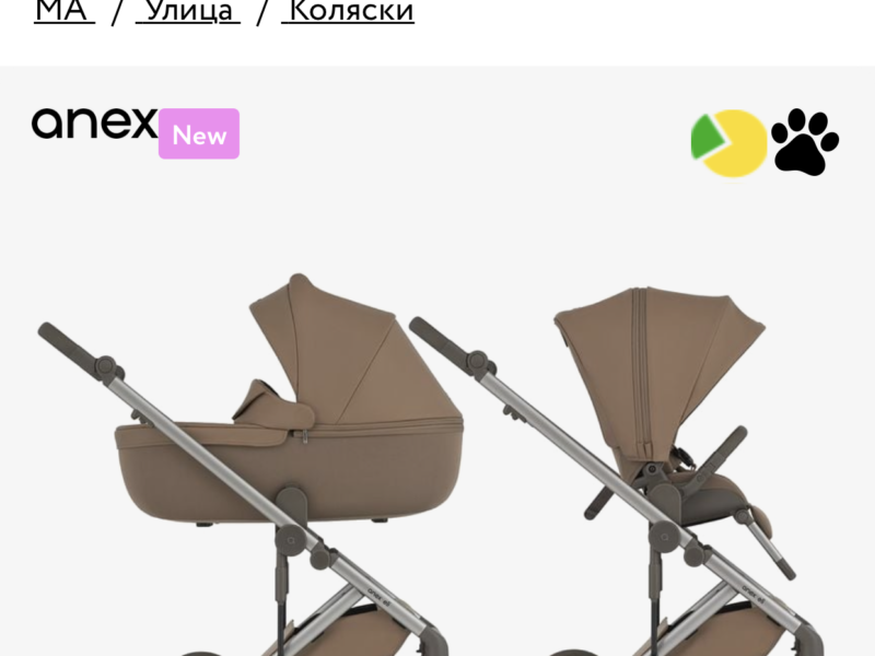 Коляска 2 в 1 Anex Eli