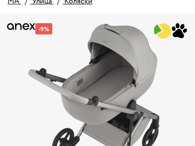 Коляска 2 в 1 Anex Eli