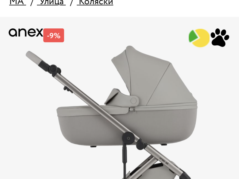 Коляска 2 в 1 Anex Eli