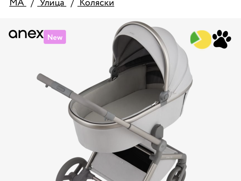 Універсальна коляска 2 в 1 Anex flo Frosy (fl-06с)