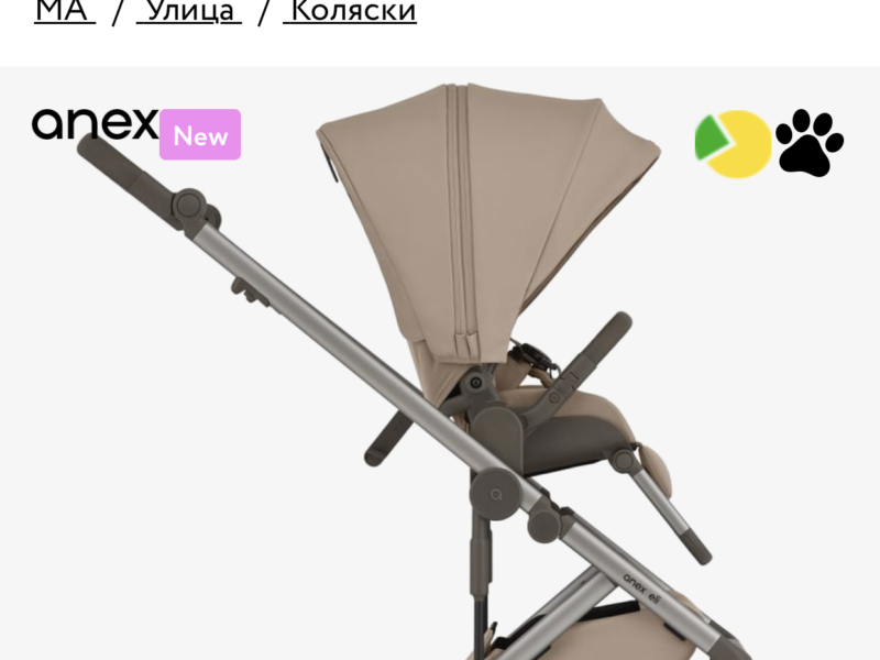 Коляска 2 в 1 Anex Eli