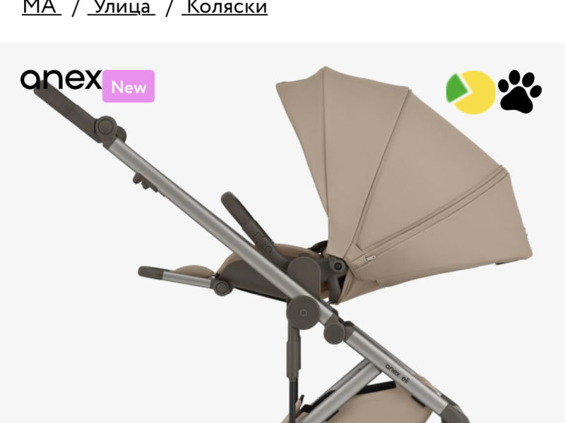 Коляска 2 в 1 Anex Eli