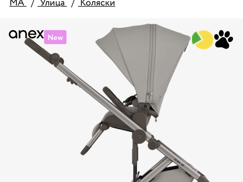 Коляска 2 в 1 Anex Eli