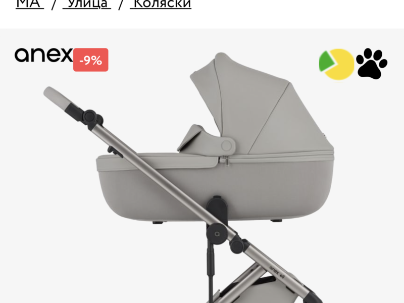 Коляска 2 в 1 Anex Eli