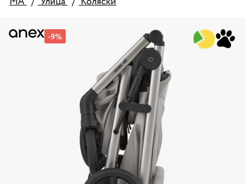 Коляска 2 в 1 Anex Eli