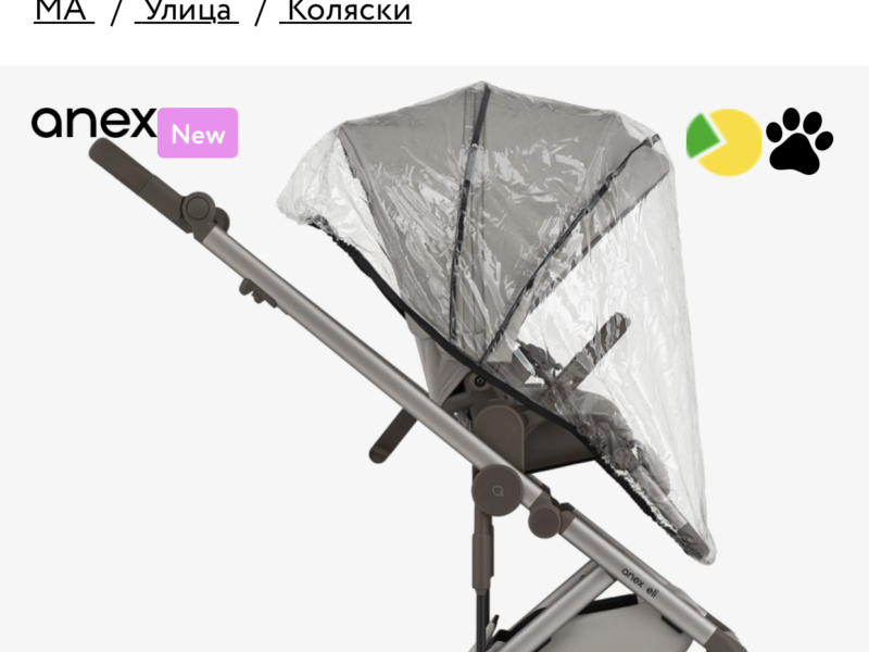 Коляска 2 в 1 Anex Eli