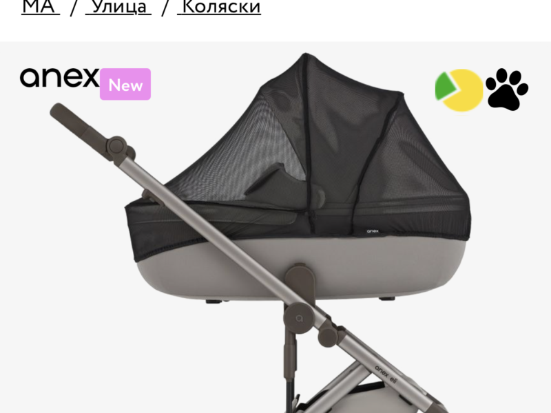 Коляска 2 в 1 Anex Eli