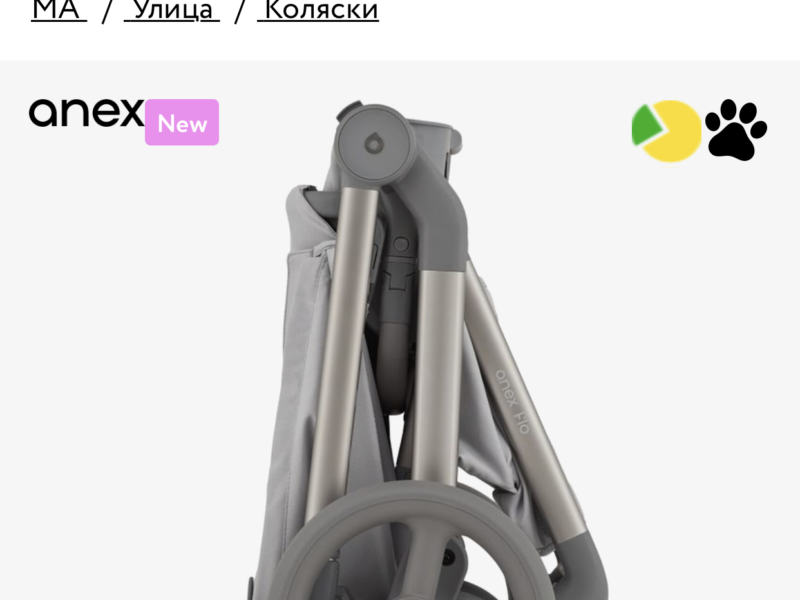 Універсальна коляска 2 в 1 Anex flo Frosy (fl-06с)