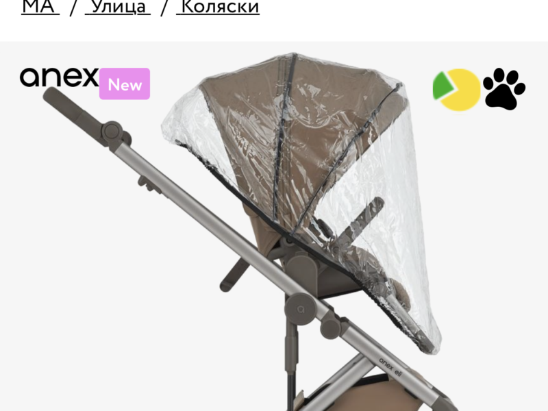 Коляска 2 в 1 Anex Eli