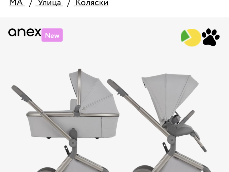 Універсальна коляска 2 в 1 Anex flo Frosy (fl-06с)