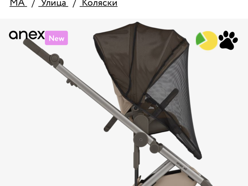 Коляска 2 в 1 Anex Eli