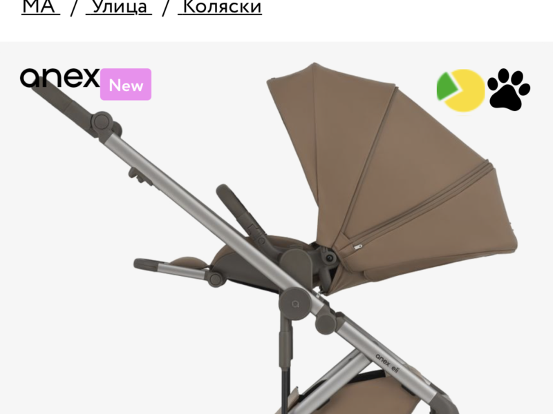 Коляска 2 в 1 Anex Eli