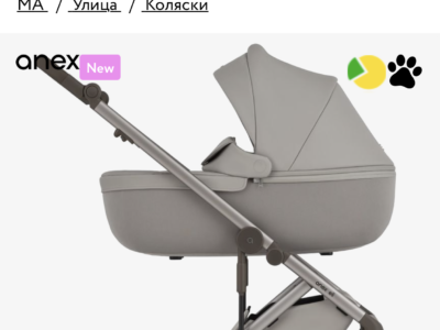 Коляска 2 в 1 Anex Eli