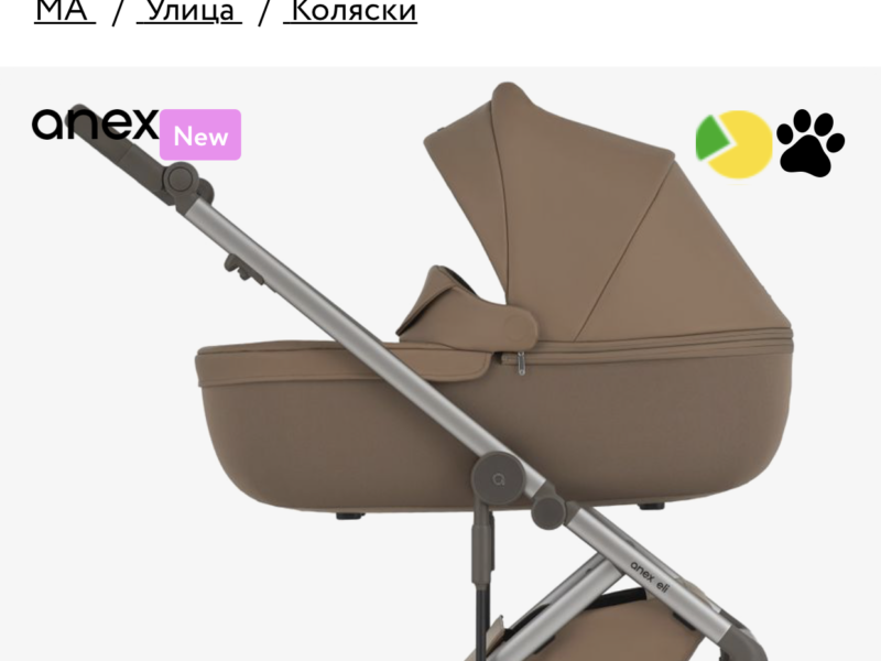 Коляска 2 в 1 Anex Eli