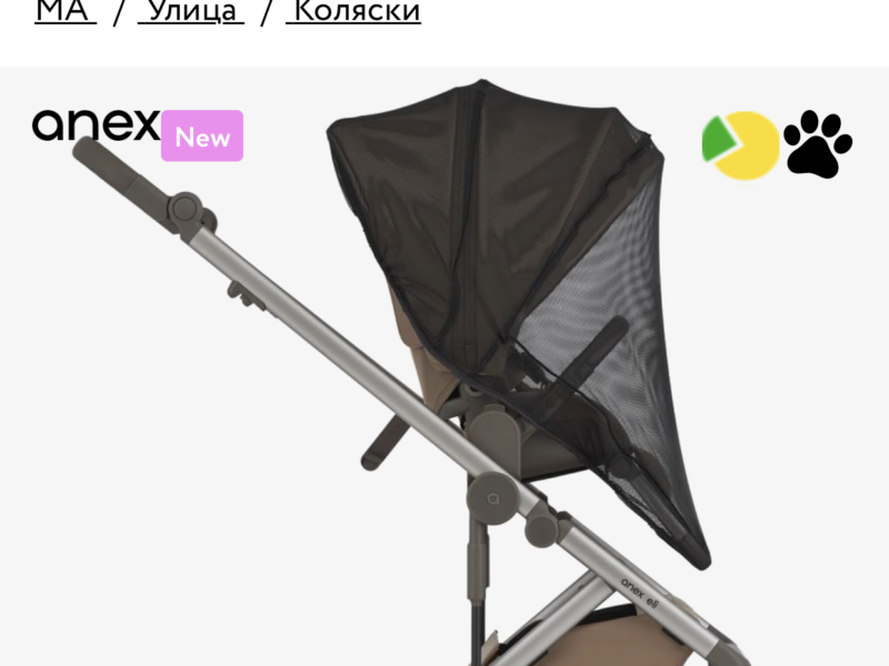 Коляска 2 в 1 Anex Eli