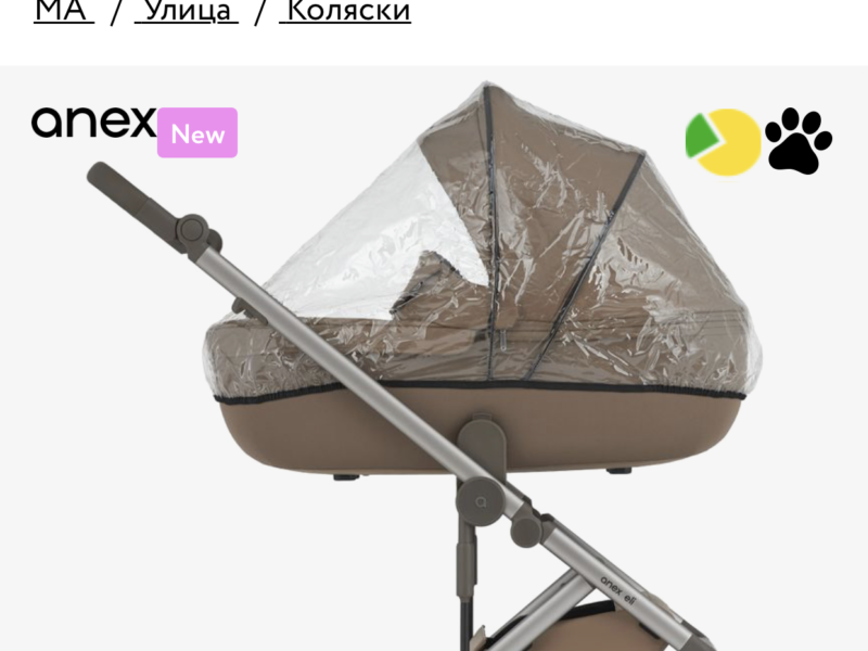 Коляска 2 в 1 Anex Eli